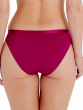 Botanical Lace Brief - Fuchsia