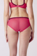 Delicate Lace Brief - Watermelon